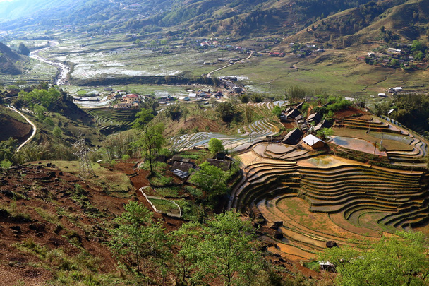 Terrace rice fields - Foto, immagini
