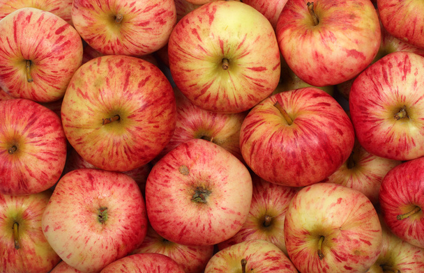 Kypsiä punaisia omenoita - Valokuva, kuva