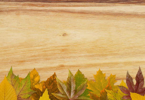Folhas de outono em madeira
 - Foto, Imagem