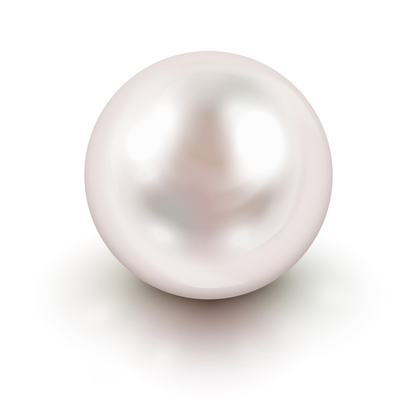 perla blanca
 - Vector, imagen