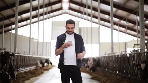 man texting on smartphone and cows at dairy farm - Кадры, видео