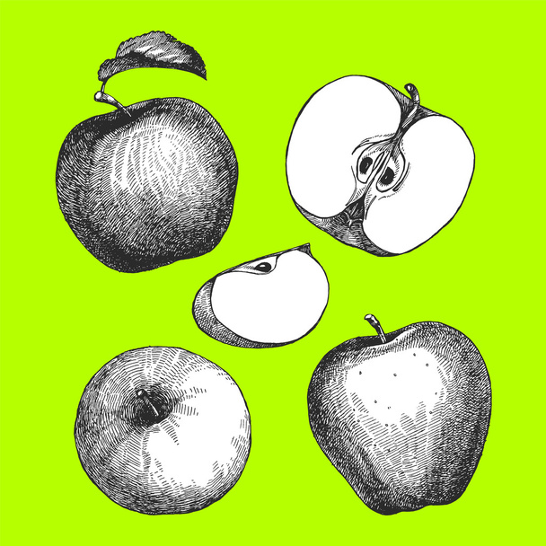 Hand-drawn illustration of fruits - Vektör, Görsel