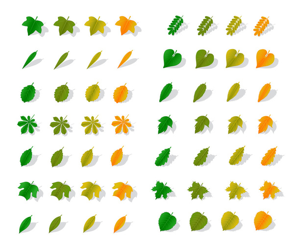 Icons yellow leaves - Vector, Image