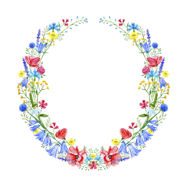 Wreath with bluebell,herbs,lavender,poppy,tansy,clover floral. - Foto, immagini