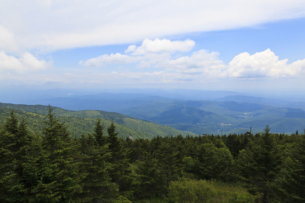ノースカロライナの山々 のミッチェル山からの眺め - 写真・画像