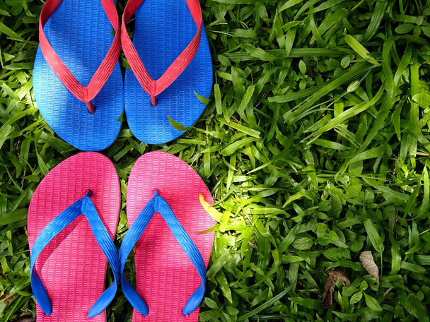 Colorful Slippers or Flip Flops - Fotoğraf, Görsel