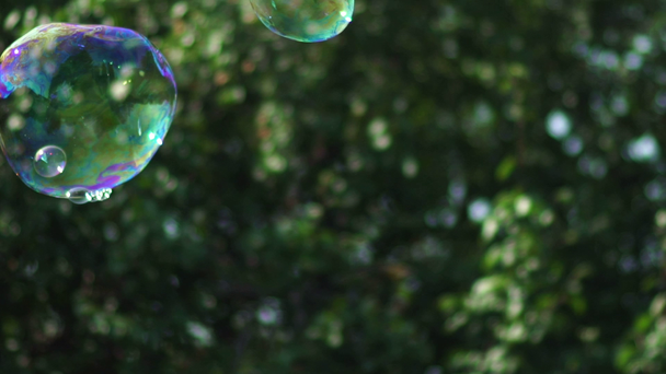 Metamorfose de grandes bolhas de sabão em câmera lenta
. - Filmagem, Vídeo