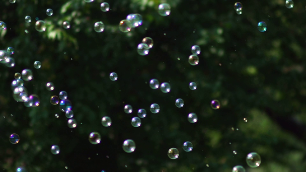 Muchas burbujas se dispersan en diferentes direcciones. Dispositivo para crear una burbuja
 - Metraje, vídeo