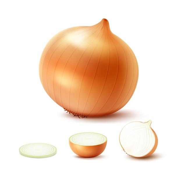 Set of Fresh Whole and Sliced Yellow Onion Bulbs - Vector, Image