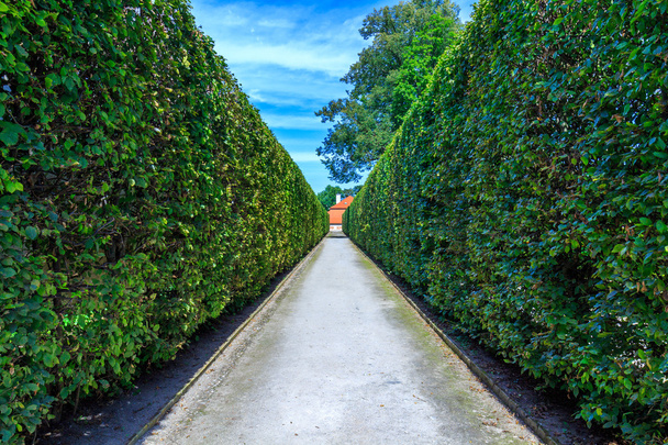 Gärten der historischen Stadt - Foto, Bild