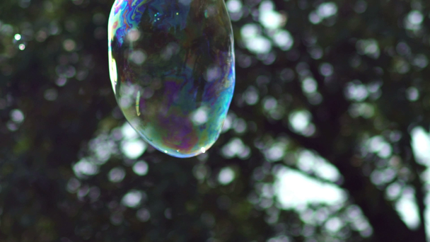 Metamorphosis of big soap Bubbles in Slow Motion. Big bubble shimmering - Footage, Video