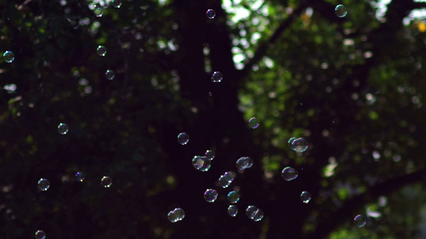 Molte piccole bolle si disperdono in direzioni diverse. Bacchetta della bolla
. - Filmati, video