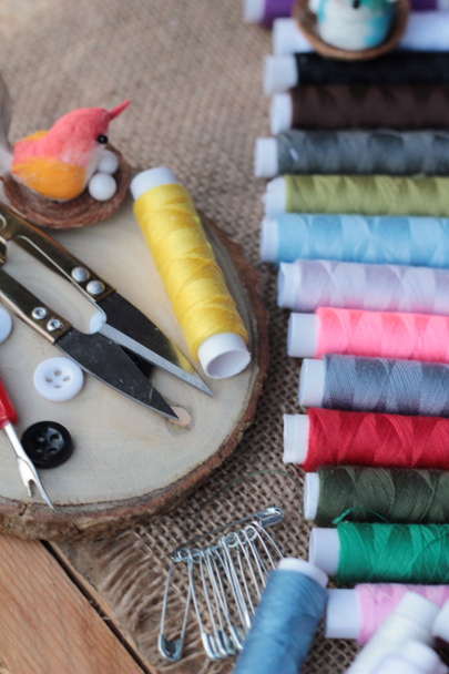 Suministros de costura, hilo de tijeras con y tijeras
 - Foto, Imagen