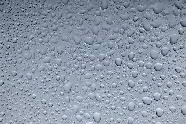 dew drops closeup - Photo, Image