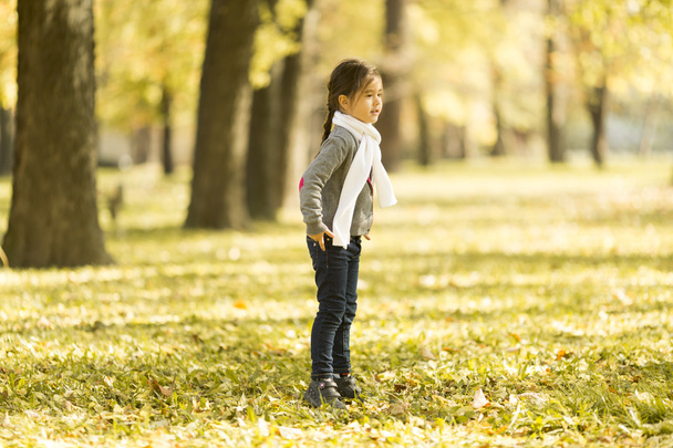 Little girl in the autumn park - Foto, immagini