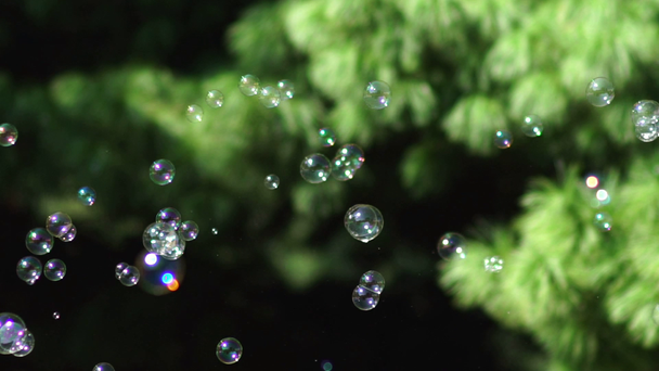 Spoustu malých a velkých multi-barevné bubliny dmychadlo. Mýdlové bubliny ukazují. - Záběry, video