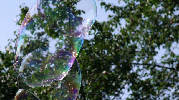 Soplador de burbujas grande multicolor. Varita de burbujas. Burbujas de jabón muestran
. - Imágenes, Vídeo