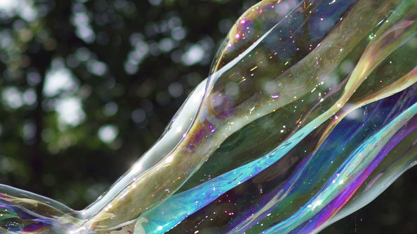 Κοντινή όψη του πολύχρωμο μεγάλο μακρύ σαπουνόφουσκα που πετούν στο πάρκο - Πλάνα, βίντεο