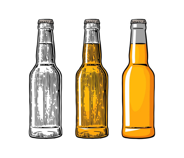 Beer bottle. Color engraving and flat vector illustration - Διάνυσμα, εικόνα