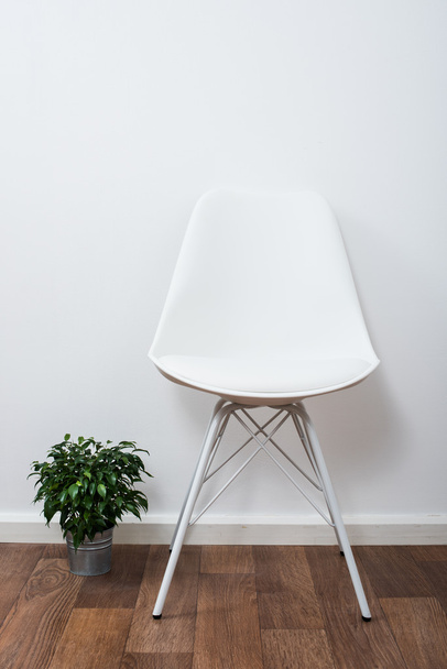 White stylish designer chair and green home plant near the wall - Фото, зображення