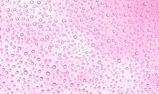 ガラス ウィンドウ ピンクのグラデーション背景に雨粒します。 - 写真・画像