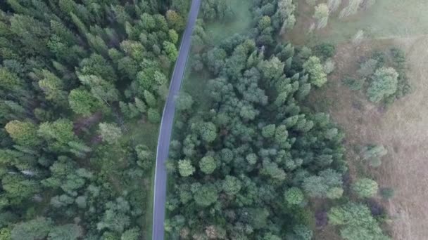 kırsal manzara yol araba ile - Video, Çekim