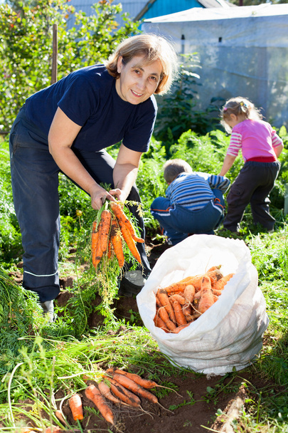 Mature woman in garden with children picking the carrot - Valokuva, kuva