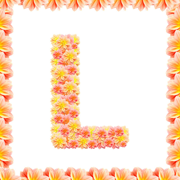 L, alfabeto de flores aislado en blanco con llama
 - Foto, Imagen