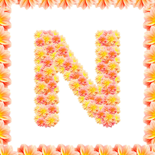 N, alfabeto de flores isolado em branco com chama
 - Foto, Imagem