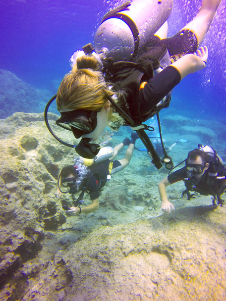 Mergulhadores subaquáticos
 - Foto, Imagem