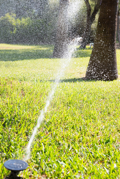 Automatic lawn sprinkler irrigating grass - Photo, Image