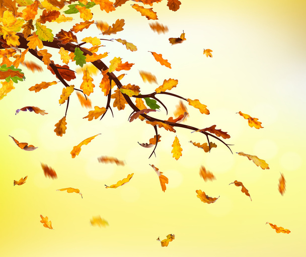 jesień spadających liści - Zdjęcie, obraz