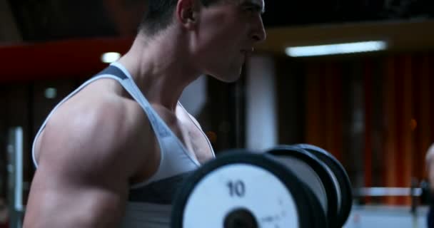 Man training in gym - Metraje, vídeo