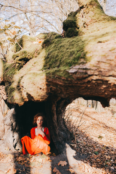 Girl in a mysterious forest - Fotoğraf, Görsel