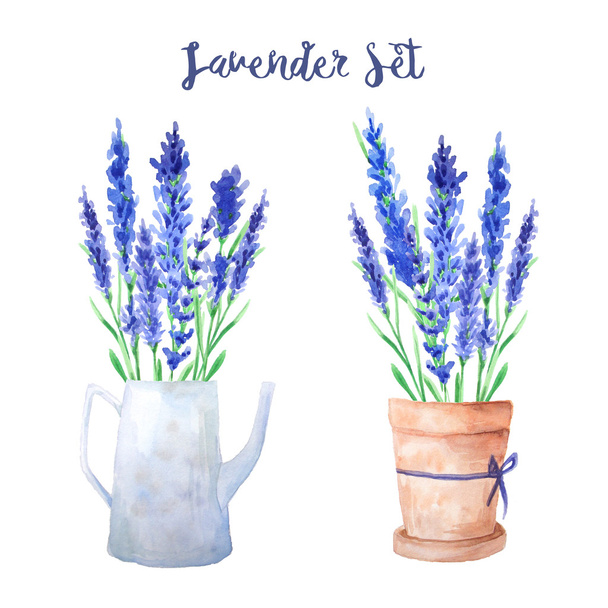 Hand painted watercolor lavender floral bouquets.  Watering can and floral pot with lavender. Provence decor compositions perfect for wedding invitation and cards. - Valokuva, kuva