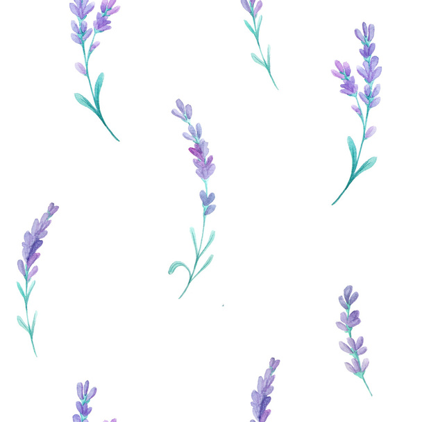 Seamless pattern with watercolor lavender flowers inspired by provence field. Hand painted provence herbs background perfect for textile and scrapbooking - Fotografie, Obrázek