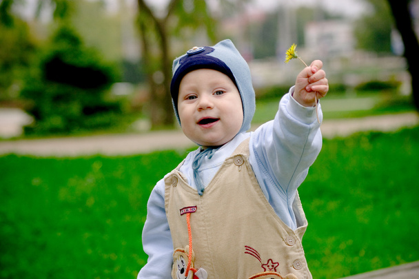 赤ちゃん男の子与えるタンポポ - 写真・画像