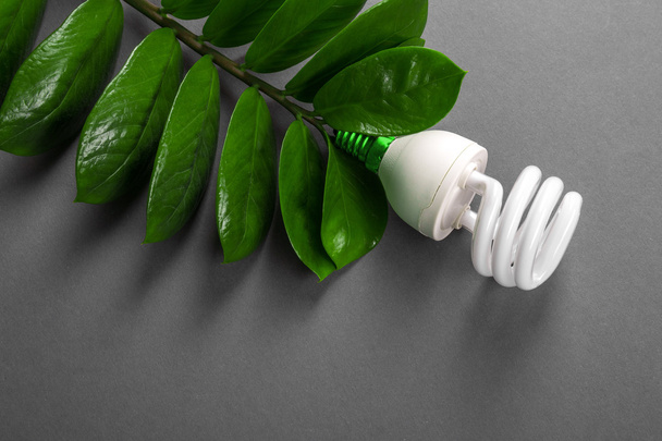 Lampe LED avec feuille verte, concept d'énergie ECO, gros plan. Ampoule sur fond gris. Sauver et environnement écologique. Espace de copie
. - Photo, image