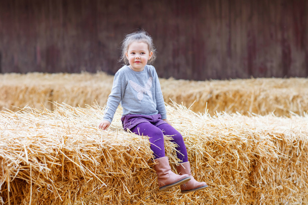 ευτυχισμένος κορίτσι Διασκεδάζοντας με σανό, σε ένα αγρόκτημα - Φωτογραφία, εικόνα