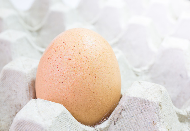fresh egg, chicken egg - Foto, Bild