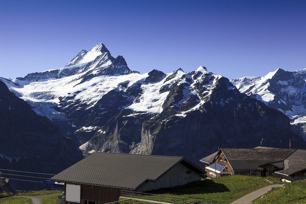 panorama on swiss alps range - Photo, Image