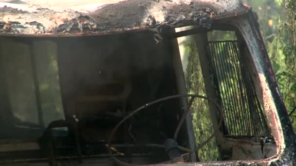 Smoke burning car cabin in forest - Materiaali, video