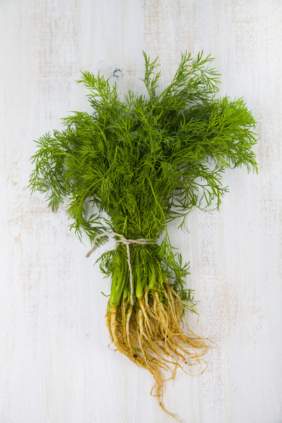 Dill on a  wooden background - 写真・画像