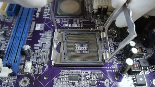 Techniker stecken CPU-Mikroprozessor an Motherboard-Buchse. - Filmmaterial, Video
