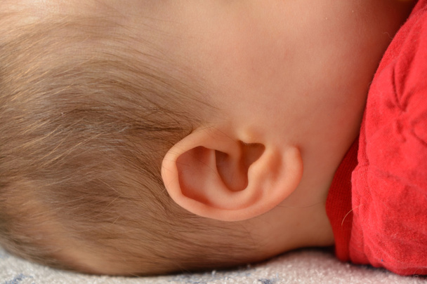 Ohr eines Babys - Nahaufnahme - Foto, Bild