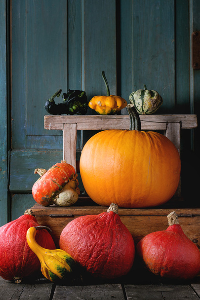 Assortment of different pumpkins - Photo, image
