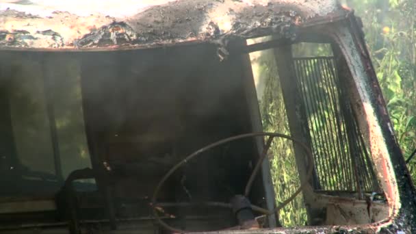 Close up of burning old car in summer forest - Metraje, vídeo