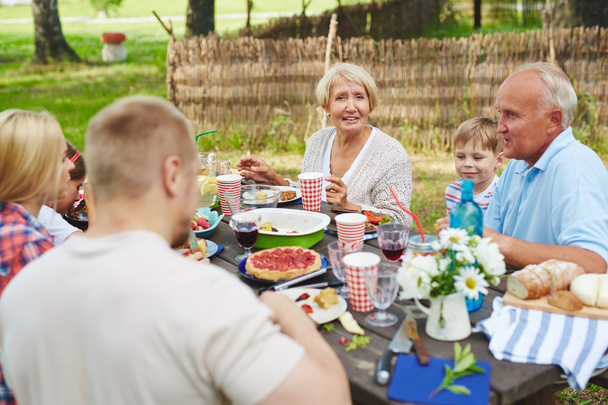 夏のピクニックを持っている家族 - 写真・画像