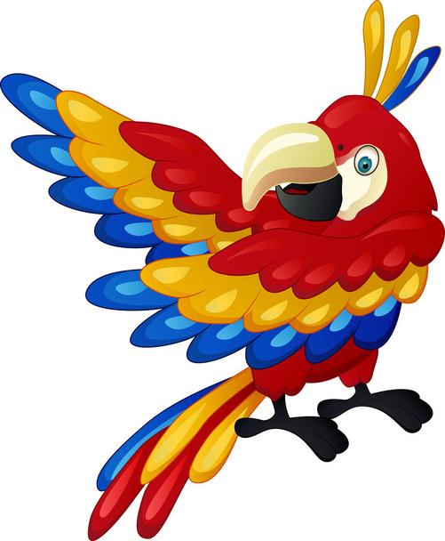 Funny macaw cartoon - Вектор,изображение