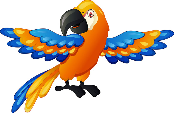 Funny macaw cartoon - Vektor, Bild